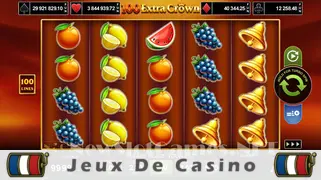 Icône de la fente 100 Extra Crown Slot
