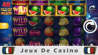 Icône de la fente 40 Hold Hot Hold And Win Slot