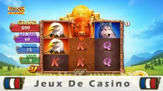 Icône de la fente Bison Fortune Coins Slot