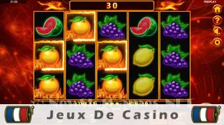 Icône de la fente Blazing Wilds 20 Slot