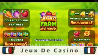 Icône de la fente Bonanza Farm Rush Express Slot