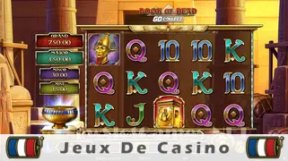 Icône de la fente Book of Dead GO Collect Slot
