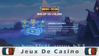 Icône de la fente Book of Odin Slot