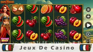 Icône de la fente Celtic Princess Slot