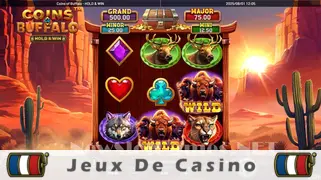 Icône de la fente Coins of Buffalo Slot