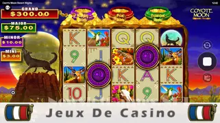 Icône de la fente Coyote Moon Desert Nights Slot