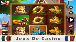 Icône de la fente Crazy Chicken Slot