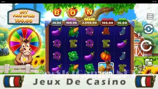 Icône de la fente Donkey Dollars Slot
