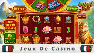 Icône de la fente Dragon Tiger Fortunes Slot