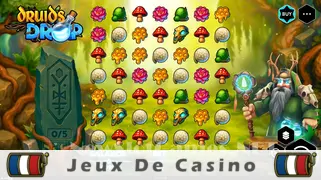 Icône de la fente Druids Drop Slot