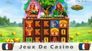 Icône de la fente Druids Fortune Slot