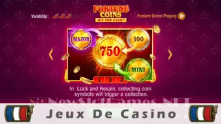 Icône de la fente Fortune Coins Slot