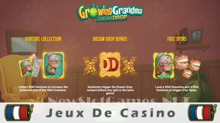 Icône de la fente Growing Grandma Dream Drop Slot