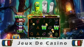 Icône de la fente Magnificent Power HooKoo Slot