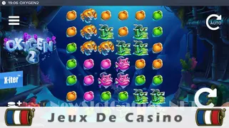 Icône de la fente Oxygen 2 Slot