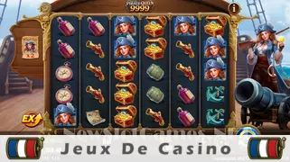 Icône de la fente Pirate Queen 9999 Slot