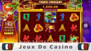Icône de la fente Tiger and Dragon Multiplier Slot