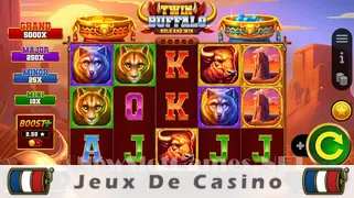Icône de la fente Twin Buffalo Hold and Win Slot
