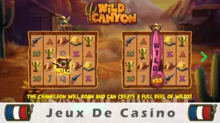 Icône de la fente Wild Canyon Slot