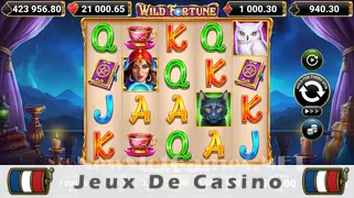 Icône de la fente Wild Fortune Slot