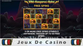 Icône de la fente Wild Kangaroo Spins Slot
