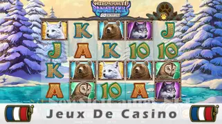 Icône de la fente Wild North Radiant Skies Go Collect Slot