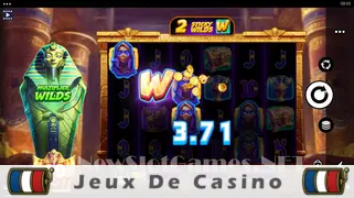 Icône de la fente Wild Tomb Slot