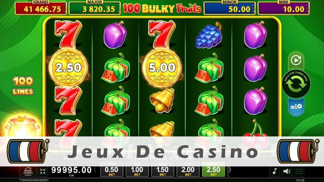 Démo de la machine à sous 100 Bulky Fruits Golden Coins Link Slot