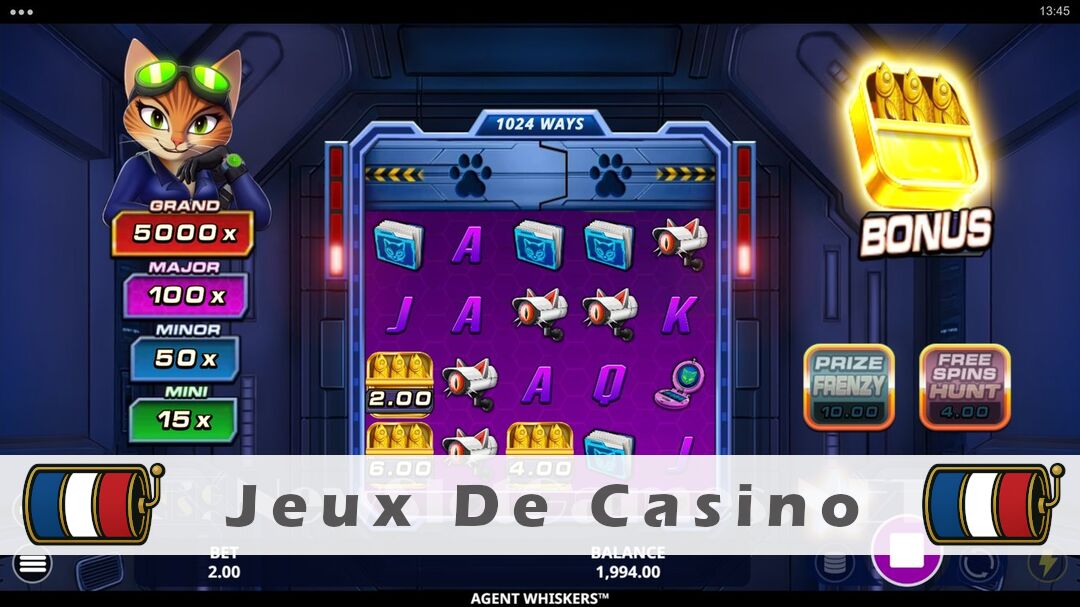 Démo de la machine à sous Agent Whiskers Slot