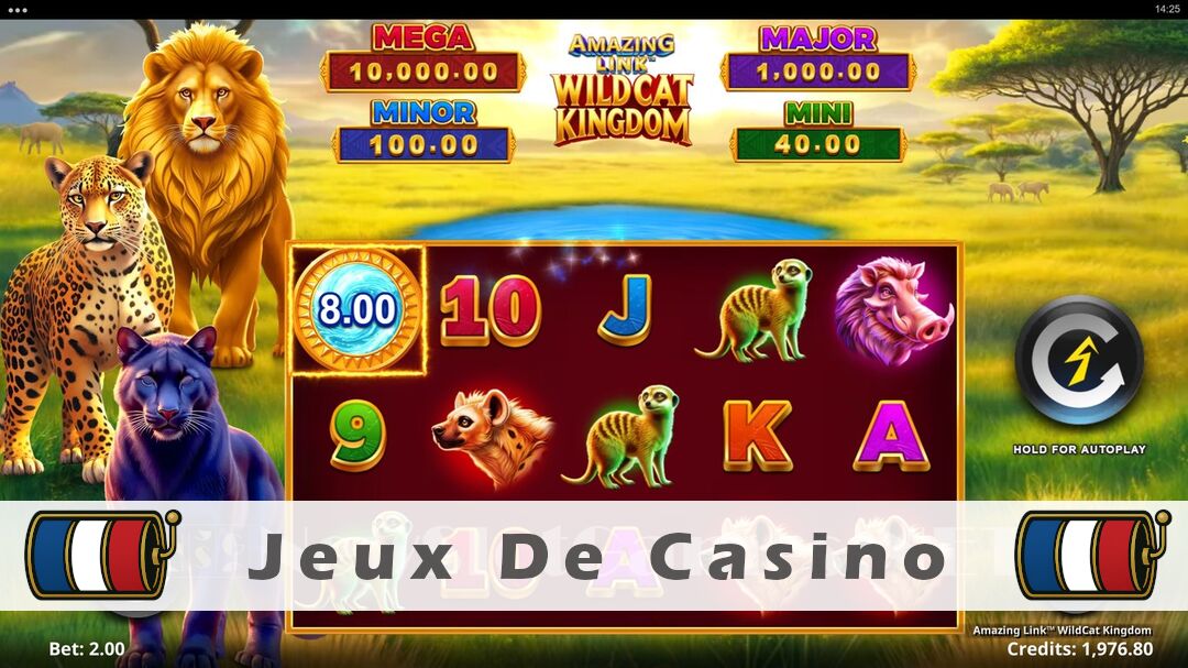Démo de la machine à sous Amazing Link WildCat Kingdom Slot