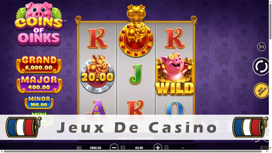 Démo de la machine à sous Coins of Oinks Slot
