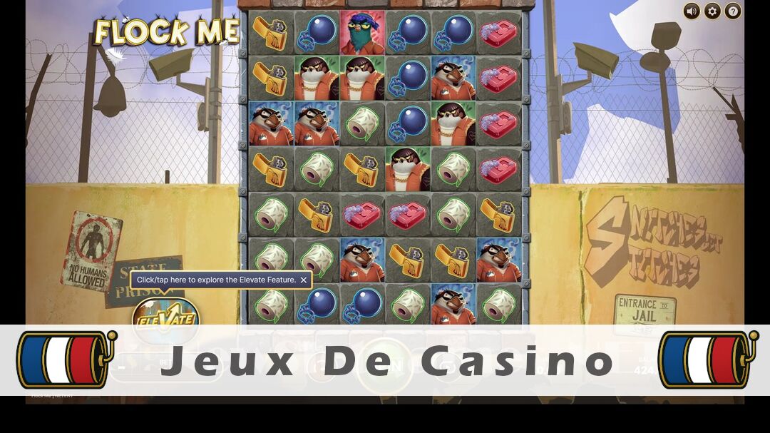 Démo de la machine à sous Flock Me Slot