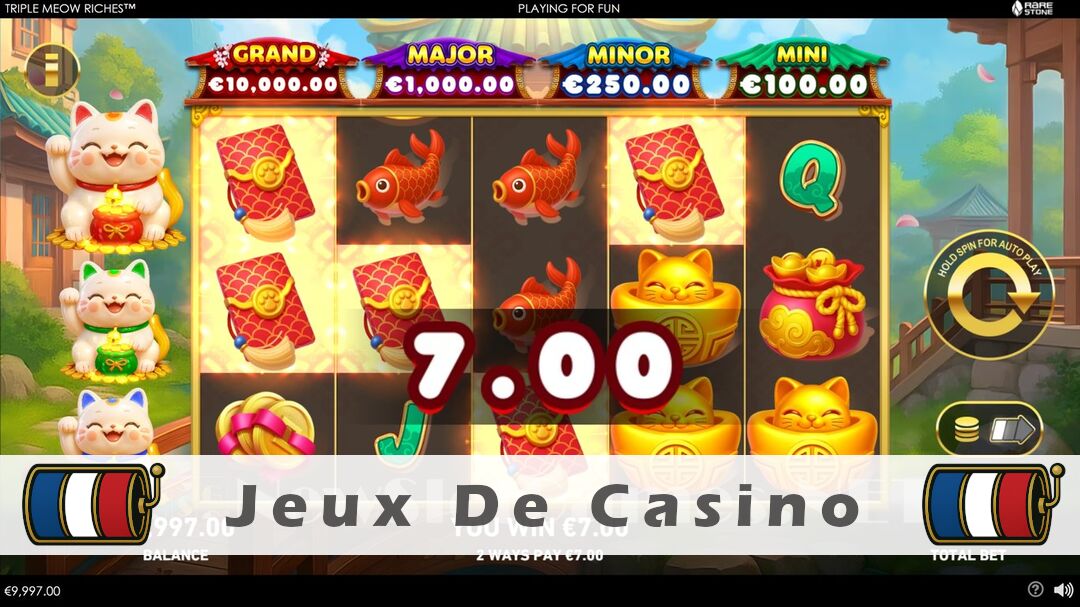 Démo de la machine à sous Triple Meow Riches Slot